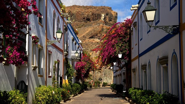 White-coloured houses