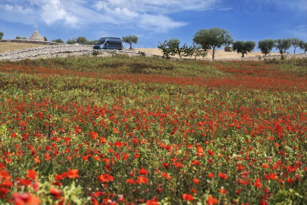 Camper van on a side road between Noci and Alberobello