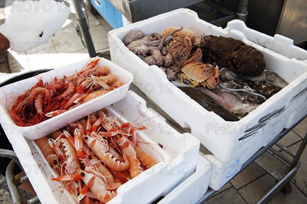 Freshly caught shellfish sold directly from the fishing boat