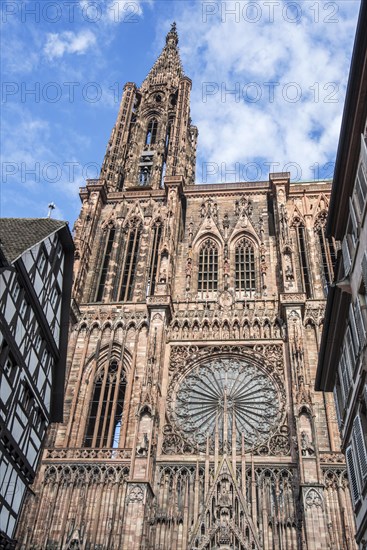 Cathedral of Our Lady of Strasbourg