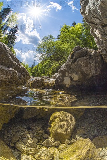 Underwater photo in a mountain stream in the Kalkalpen National Park