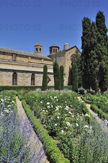 Rose garden of the Fontfroide Abbey