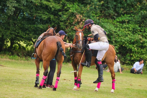 Horse polo on the Hugerlandshofweg in Muenster-Handorf