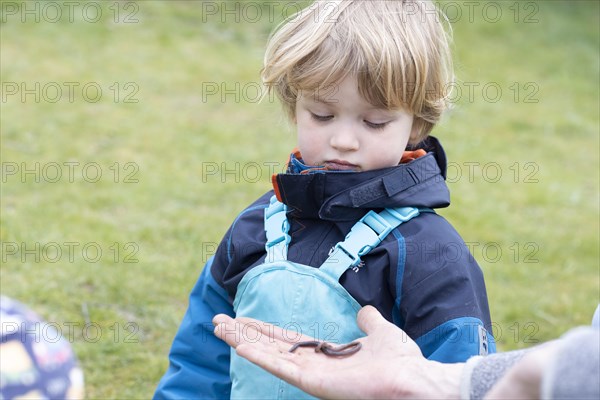 Kleind looking at an earthworm in the hand of an adult
