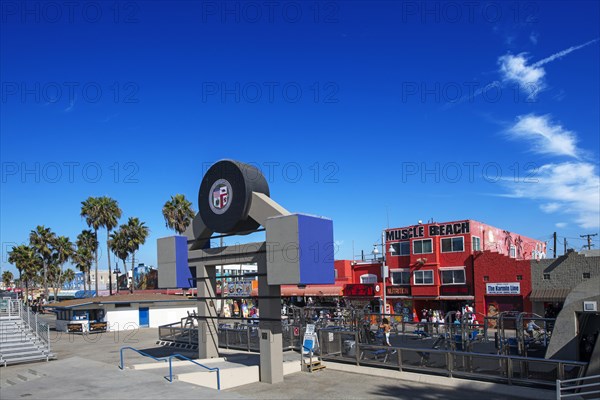 Muscle Beach open-air gym