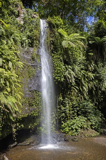 Benang Kelambu Waterfalls in tropical forest near the village Aik Berik