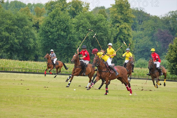 Horse polo on the Hugerlandshofweg in Muenster-Handorf