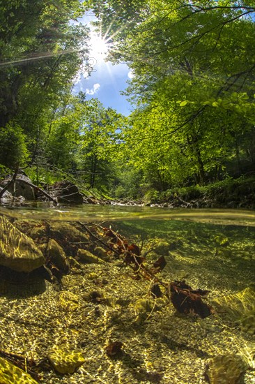 Underwater photo in a mountain stream in the Kalkalpen National Park