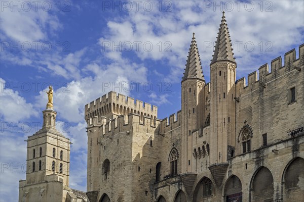 14th century Palais des Papes