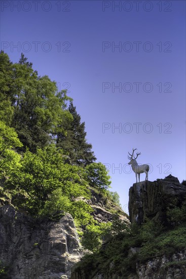 Hirschsprung in the Hoellental in the Black Forest