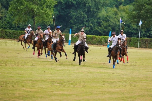 Horse polo on the Hugerlandshofweg in Muenster-Handorf