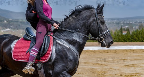 Unrecognizable woman riding on a black horse with a mountainous landscape in the background and blue sky