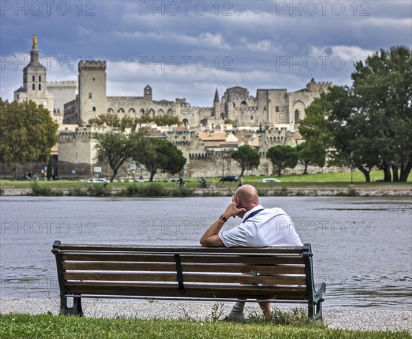 The Palais des Papes