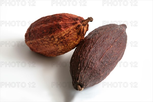 Cocoa pods