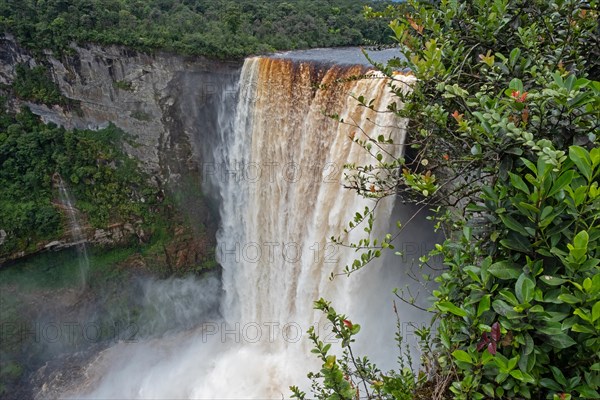 Kaieteur Falls on the Potaro River in the Kaieteur National Park