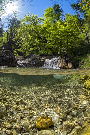 Underwater photo in a mountain stream in the Kalkalpen National Park