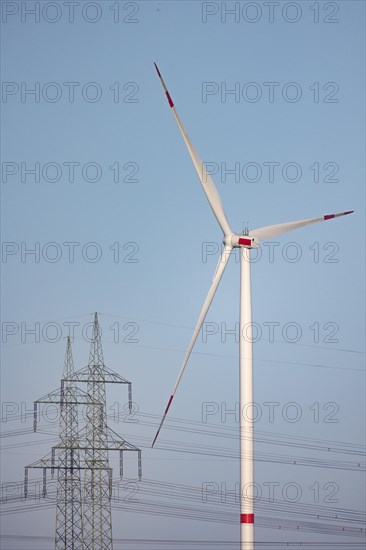 A wind turbine and two high-voltage pylons stand out near Luckau
