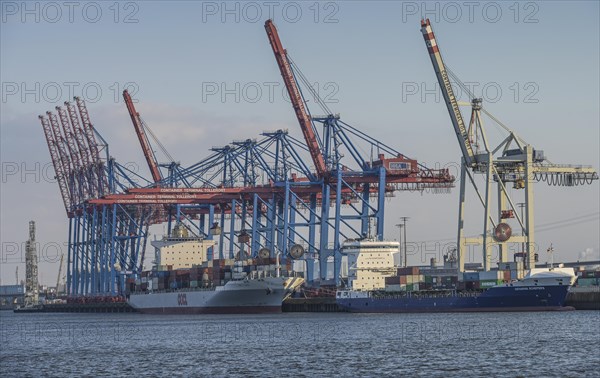 Container Terminal Tollerort