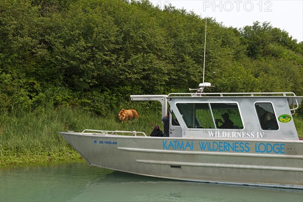 Tourists on photo safari by boat in Kukak Bay watching grizzly bears