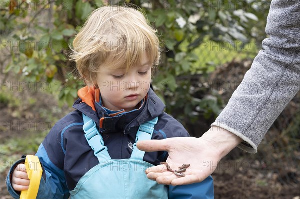 Kleind looking at an earthworm in the hand of an adult