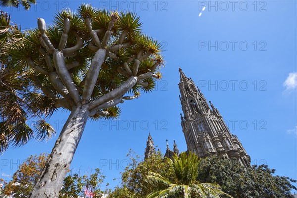 Arucas Cathedral