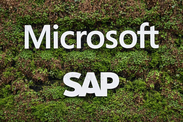 Lettering Microsoft and SAP