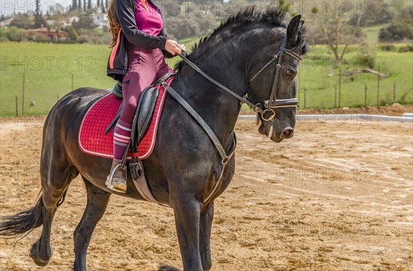 Unrecognizable woman riding on a black horse with a mountainous landscape in the background and blue sky