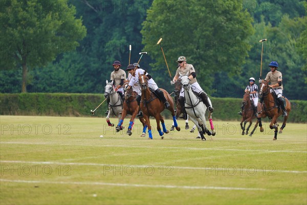 Horse polo on the Hugerlandshofweg in Muenster-Handorf