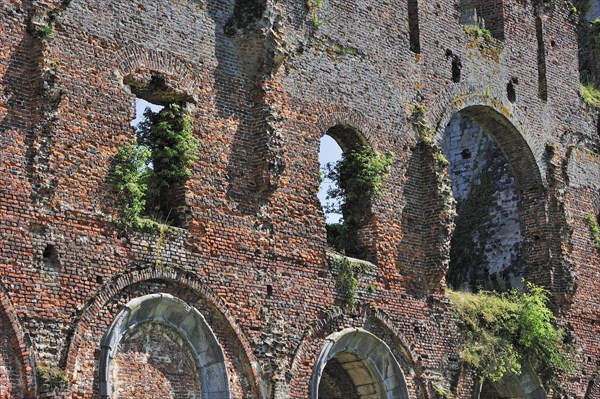 Ruins of the Aulne Abbey