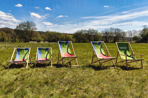 Five deckchairs in a meadow