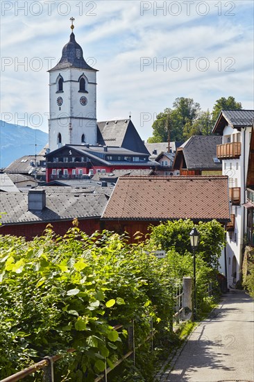 Wallfarhtskirche