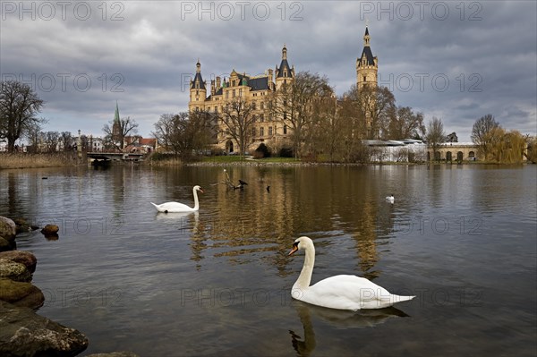 Schwerin Castle with two Mute Swans
