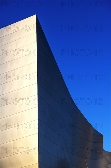 Walt Disney Concert Hall