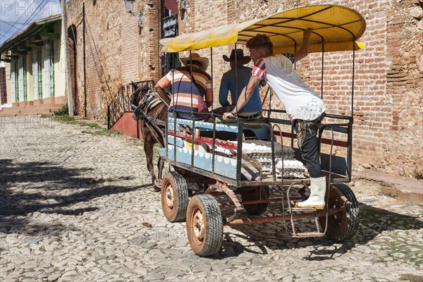 Horse and cart