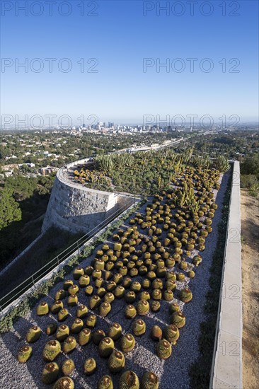 View over the cactus garden to downtown