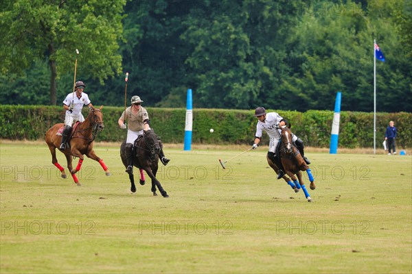 Horse polo on the Hugerlandshofweg in Muenster-Handorf