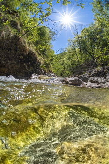 Underwater photo in a mountain stream in the Kalkalpen National Park