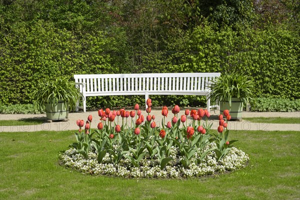 Tulip bed