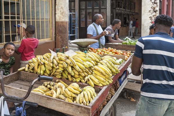 Street vendor