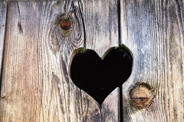 Traditional Bavarian wooden toilet door with heart