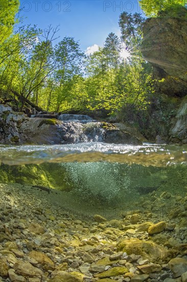 Underwater photo in a mountain stream in the Kalkalpen National Park