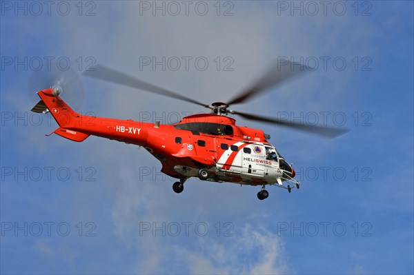 Multi-purpose transport helicopter AS 332 Super Cougar C1 HB-XVY of Heliswiss International AG in the air