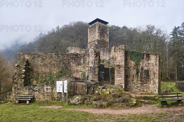 Ruins of Hinterburg Castle