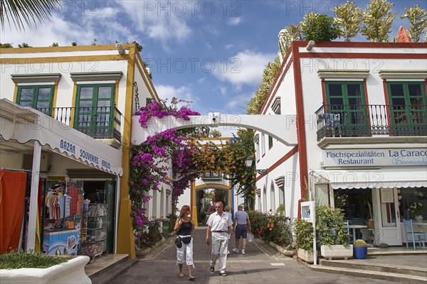 White-coloured houses