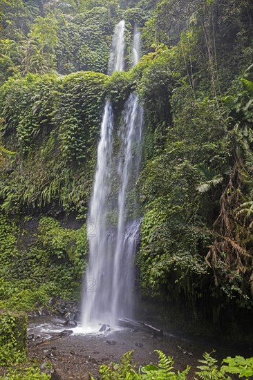 Air Terjun Sendang Gile waterfall near Senaru in the tropical rainforest on the slopes of the Rinjani volcano