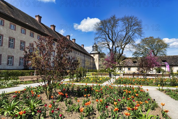 Tulip beds in the Remtergarten with a view of Corvey Castle