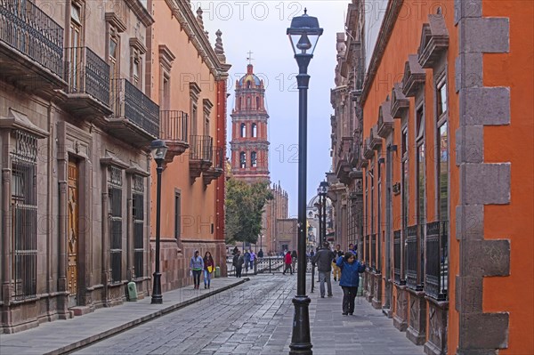 Catedral Metropolitana de San Luis Rey