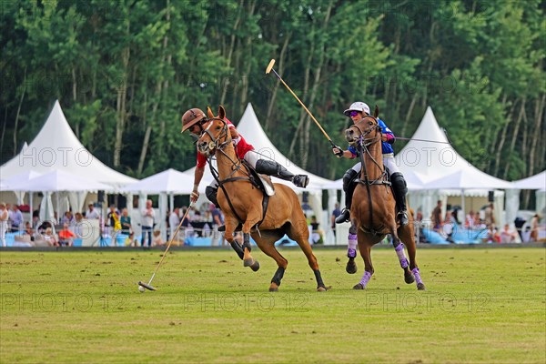 Horse polo on the Hugerlandshofweg in Muenster-Handorf