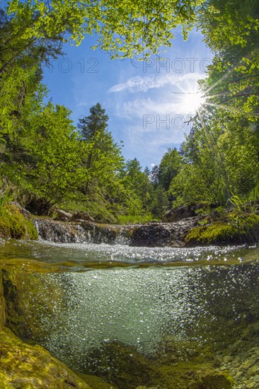 Underwater photo in a mountain stream in the Kalkalpen National Park