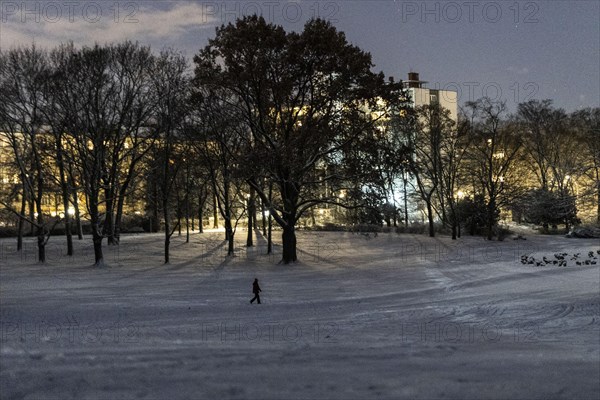 A person walks through the Volkspark Wilmersdorf after a light snow storm in Berlin